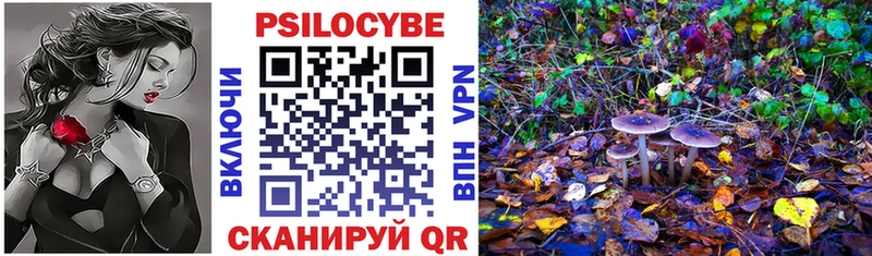 наркота  Ливны  Псилоцибиновые грибы Psilocybine cubensis 