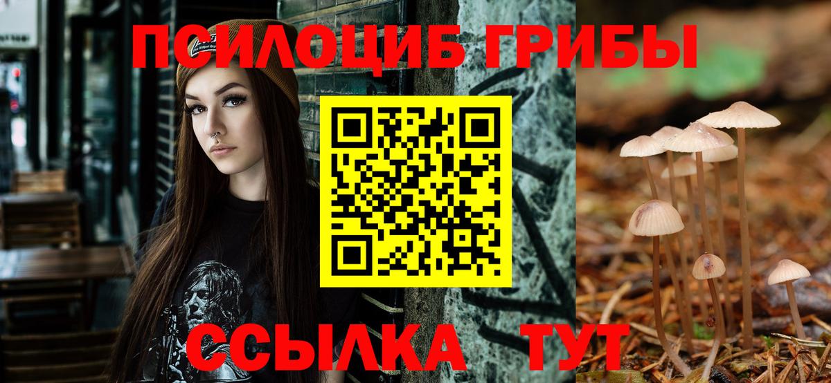 Ливны  Псилоцибиновые грибы Magic Shrooms  Вход с VPN 